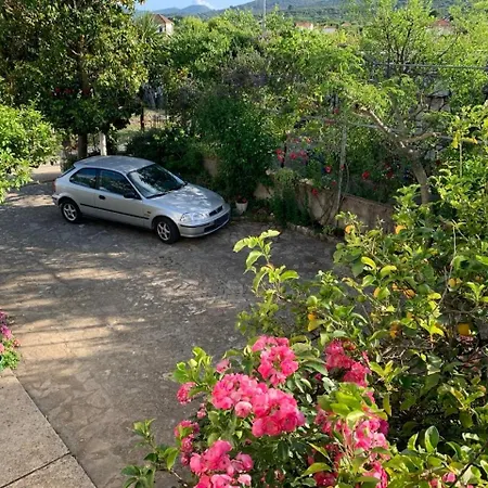 Green Apartment アパート *