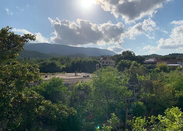 Διαμέρισμα Green Apartment